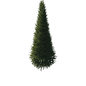 TreeGen04-FirTree01-539