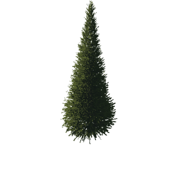 TreeGen04-FirTree01-540