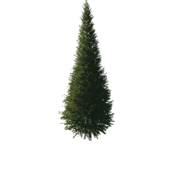 TreeGen04-FirTree01-541