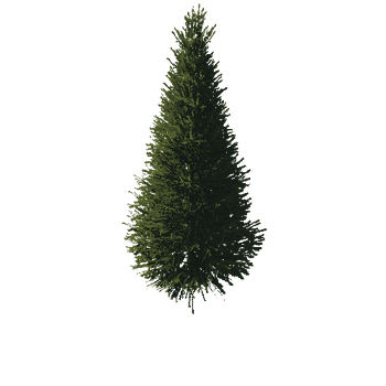 TreeGen04-FirTree01-542
