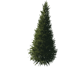 TreeGen04-FirTree01-544