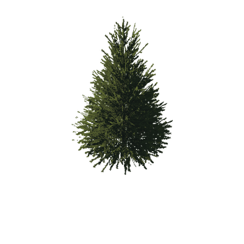 TreeGen04-FirTree01-551