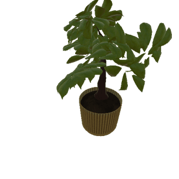 HousePlant