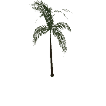 palm_type_a_d