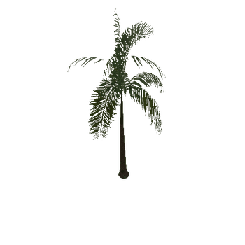 palm_type_a_e