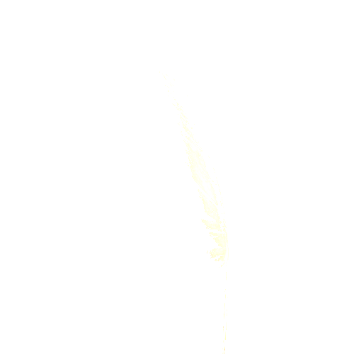 PF_BP_Quill01_2