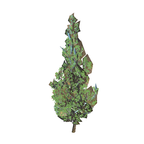 PF_Tree_01