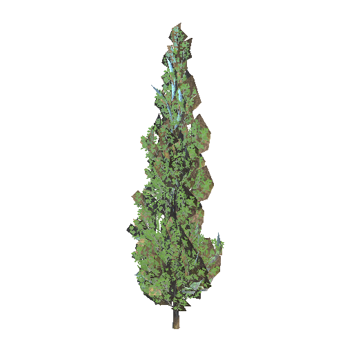 PF_Tree_02