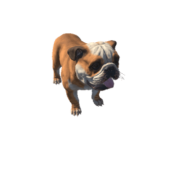Bulldog_IP