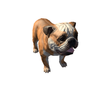 Bulldog_LowPoly