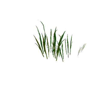 grass_a