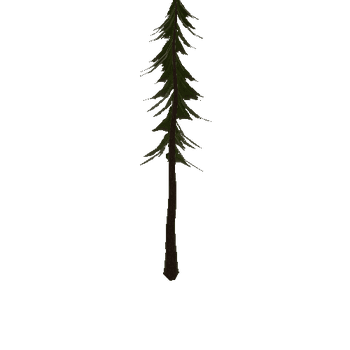 spruce_c_mesh