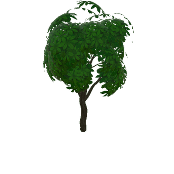 tree_a