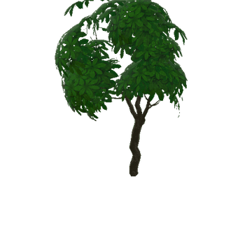 tree_b