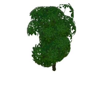 tree_c