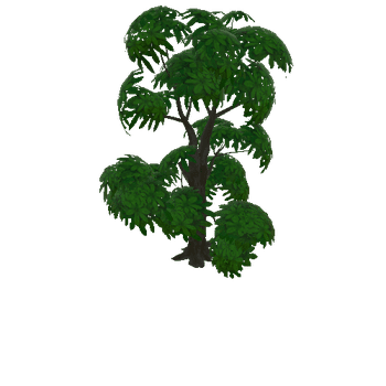 tree_d