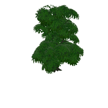 tree_e