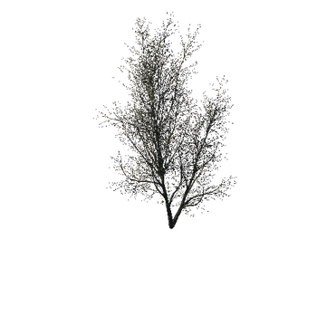 TreeGen04-WinterTree1183