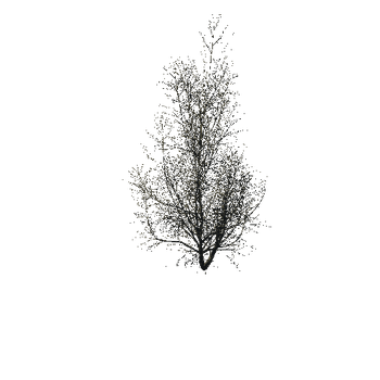 TreeGen04-WinterTree1184