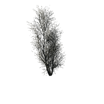 TreeGen04-WinterTree1186