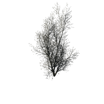 TreeGen04-WinterTree1187