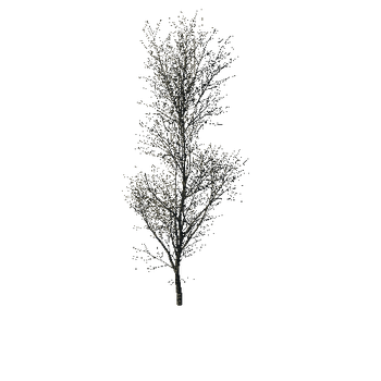 TreeGen04-WinterTree1188