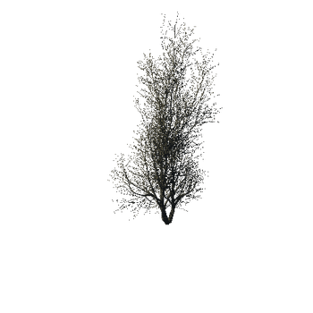 TreeGen04-WinterTree1190