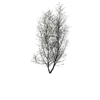 TreeGen04-WinterTree1192