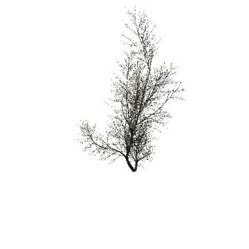 TreeGen04-WinterTree1193