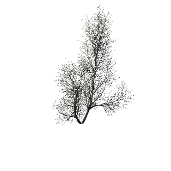 TreeGen04-WinterTree1194