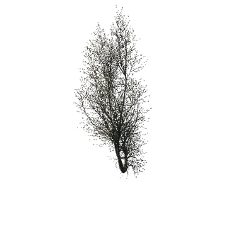 TreeGen04-WinterTree1197