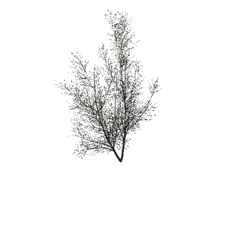 TreeGen04-WinterTree1198
