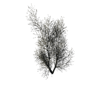 TreeGen04-WinterTree1199