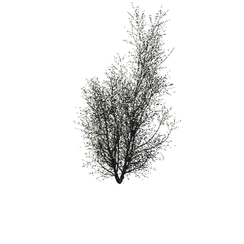 TreeGen04-WinterTree1203