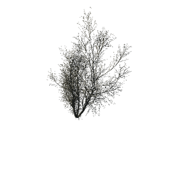 TreeGen04-WinterTree1205