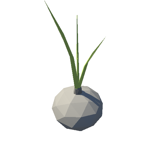 Garlic_01