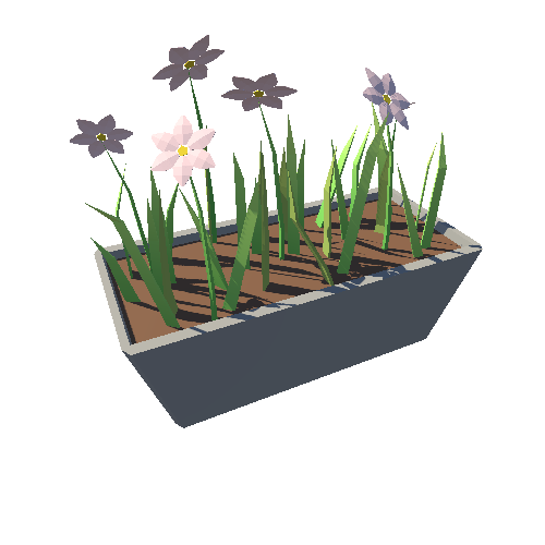 Plant_07