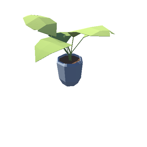 Plant_08