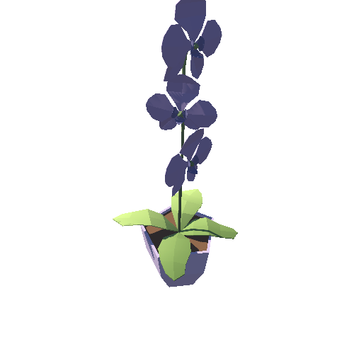 Plant_09