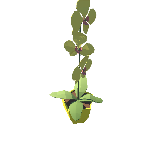 Plant_10