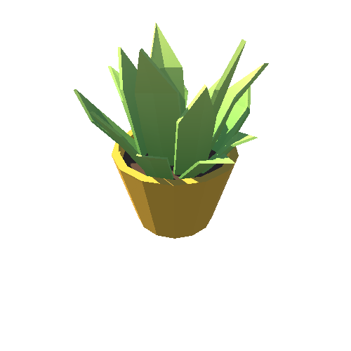 Plant_11