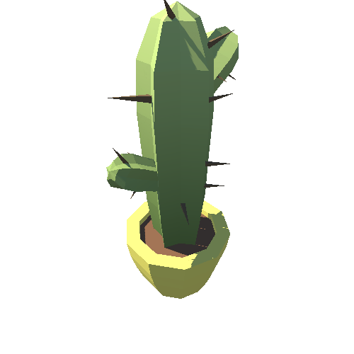 Plant_13