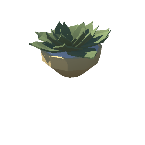 Plant_17