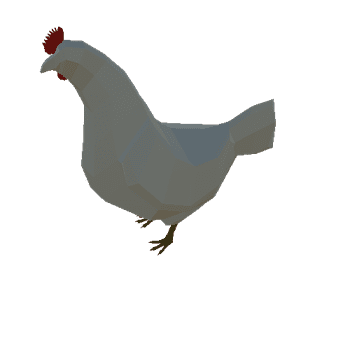 chicken01