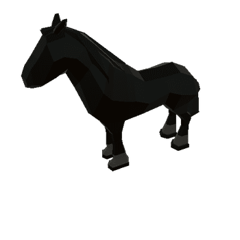 horse04