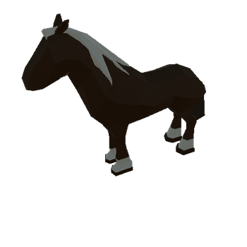 horse05