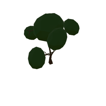 tree05