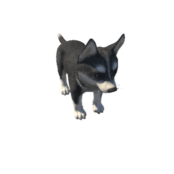 Husky_puppy_HighPoly