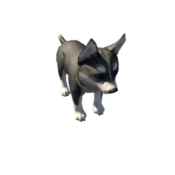 Husky_puppy_LowPoly