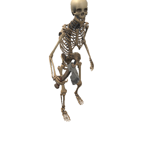 Skeleton_1
